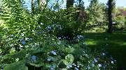 Gerd Heimrich Garten-Center - GALLERY