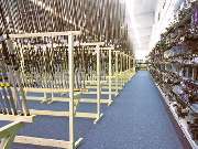 Gerlinger Angelsport GmbH - GALLERY