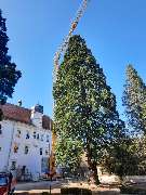 Gerüstbau und Kranverleih Maier - GALLERY