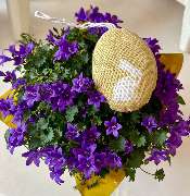 GeschmackSache by silke - GALLERY