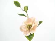 GeschmackSache by silke - GALLERY