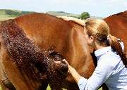 Gesundheit und Vitalität Michaela Wieland - 21