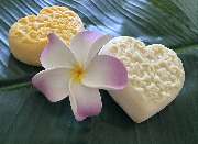 Gesundheitstempel Lind - Reiki-Therapie, Wellnessmassagen, Tier-Reiki/TK, Fernb. - GALLERY