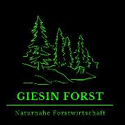 Giesin Forst - GALLERY
