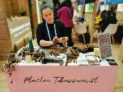 Gina Reyes Cigars - GALLERY