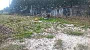 GLAHU Hunde - und Katzenpension - 3