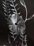 Glas Atelier Roland Götz - 53