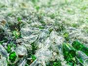 Glasrecycling Neuburg GmbH & Co. KG - 7