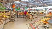GLOBUS Freilassing - GALLERY
