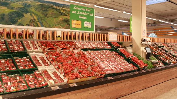 GLOBUS Gensingen - GALLERY