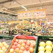 GLOBUS Gera-Trebnitz - GALLERY