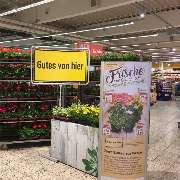 GLOBUS Gera-Trebnitz - GALLERY