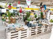 GLOBUS Zwickau - GALLERY