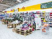 GLOBUS Zwickau - GALLERY