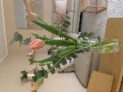 Glückliches Sein - GALLERY