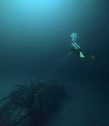 GN Diving Impression - GALLERY