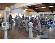 go fit - Fitness - GALLERY