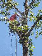 Go Garden Go GmbH - GALLERY