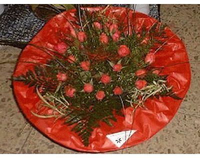 Götz Michael - GALLERY