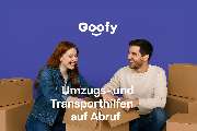GoGoofy - GALLERY