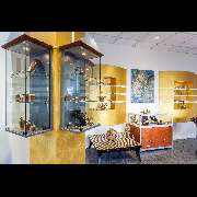 Goldankauf Bonn  Gold XChange  | Schmuck | Uhren | Münzen - Gold XChange