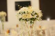 Golden Events - GALLERY