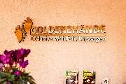 Goldene Hände Massage - GALLERY