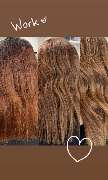 Goldene Schere - Friseur - Stade - GALLERY