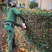 GoldRichtig Garten-und Landschaftsbau GmbH - GALLERY
