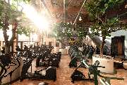 Gold's Gym Fitnessstudio Berlin - Cardio-Garden