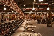 Gold's Gym Fitnessstudio Jena - Free Weights Area