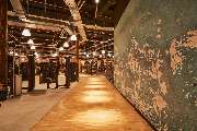 Gold's Gym Fitnessstudio Jena - Venice Wall und Blick ins Studio