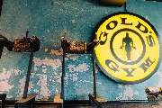 Gold's Gym Fitnessstudio Krefeld - GALLERY