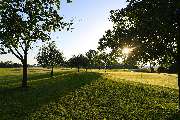 Golfanlage Harthausen - GALLERY