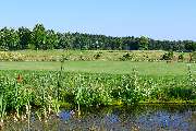 Golfanlage Harthausen - GALLERY