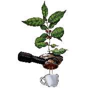 GOOD FLOW, Coffee Store - GALLERY