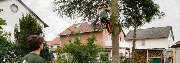 Goos Baumpflege und Gartengestaltung - GALLERY
