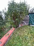 GossDienstleistungen - GALLERY