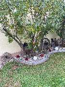 GossDienstleistungen - GALLERY