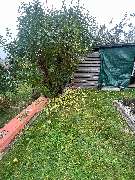 GossDienstleistungen - GALLERY