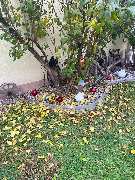 GossDienstleistungen - GALLERY