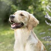 Gottstein Photographie - GALLERY