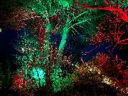 GPM-Entertainment - GPM-Entertainment DJ Münster bietet dekorative Lichtinstallationen im Außenbereich. Rote und grüne Illumination schafft festliche Eventatmosphäre.