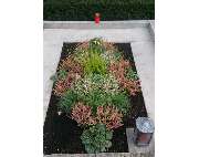 Grabpflege - Gärnerei Hohe - GALLERY