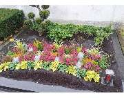 Grabpflege - Gärnerei Hohe - GALLERY