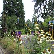 Grasland-Gärtnerei - Grasland Gärtnerei, Bergheim