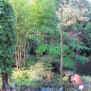 Grasland-Gärtnerei - Grasland Gärtnerei, Bergheim