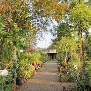 Grasland-Gärtnerei - Grasland Gärtnerei, Bergheim