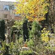 Grasland-Gärtnerei - Grasland Gärtnerei, Bergheim