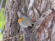 Grasland-Gärtnerei - Grasland Gärtnerei, Bergheim